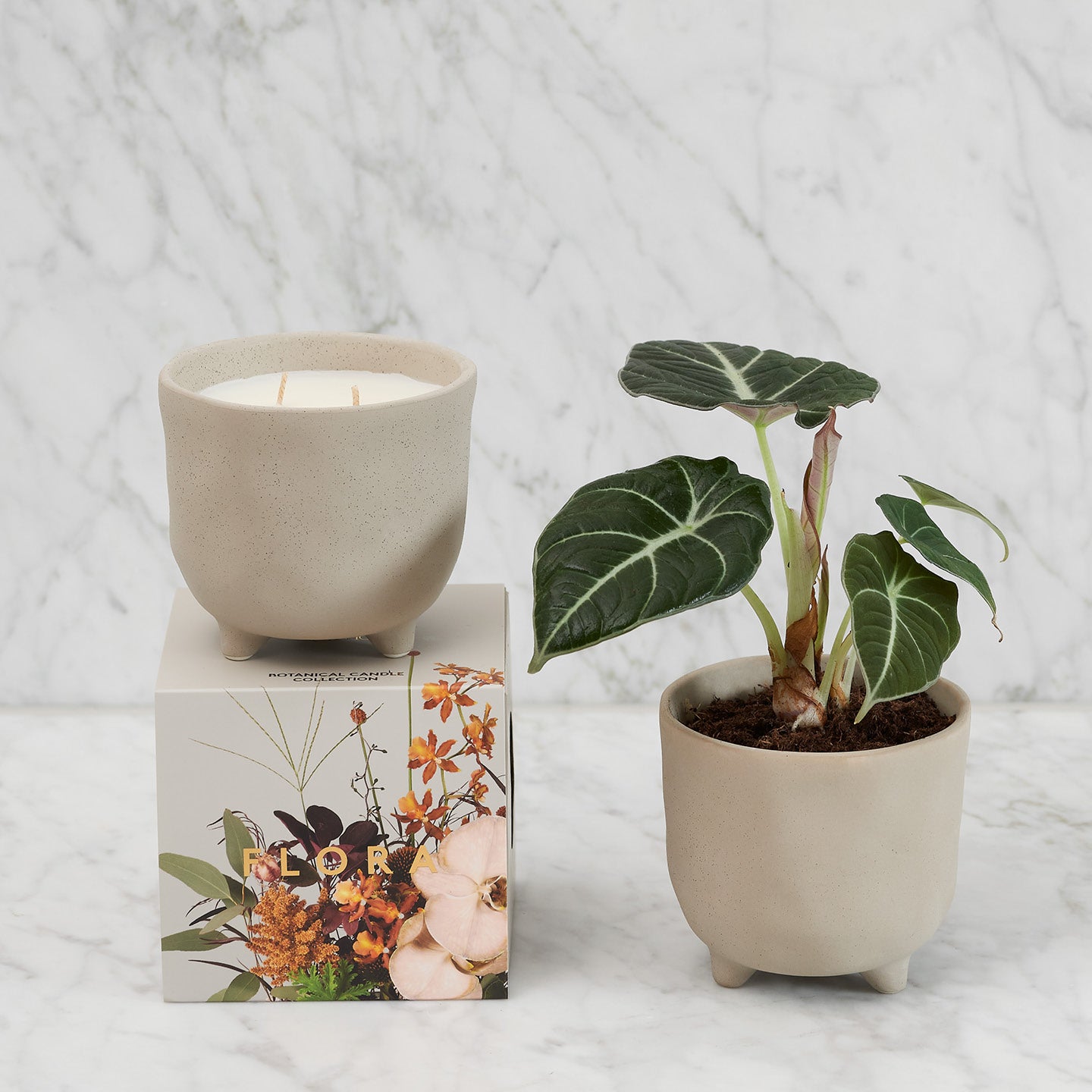 Myrtle & Moss Botanical Candle